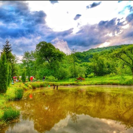 Pensiunea Cerbul - Valea Dobarlaului Екстер'єр фото