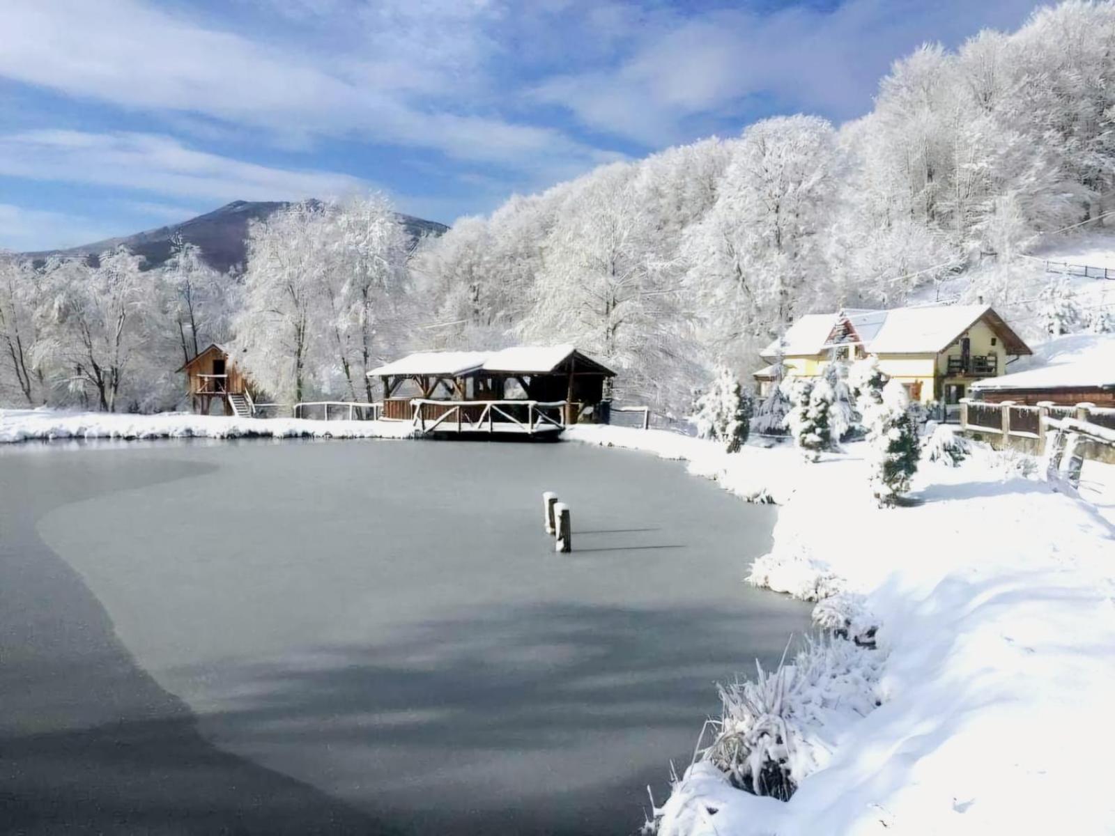 Pensiunea Cerbul - Valea Dobarlaului Екстер'єр фото