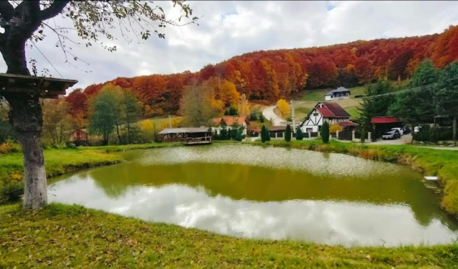 Pensiunea Cerbul - Valea Dobarlaului Екстер'єр фото