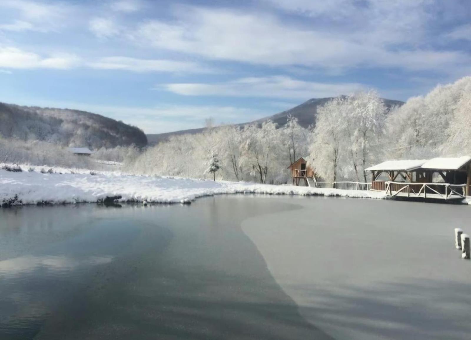 Pensiunea Cerbul - Valea Dobarlaului Екстер'єр фото